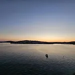 Lux Рогозница
