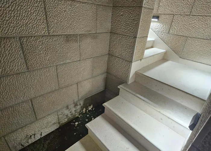 Lux * ロゴズニッツァ